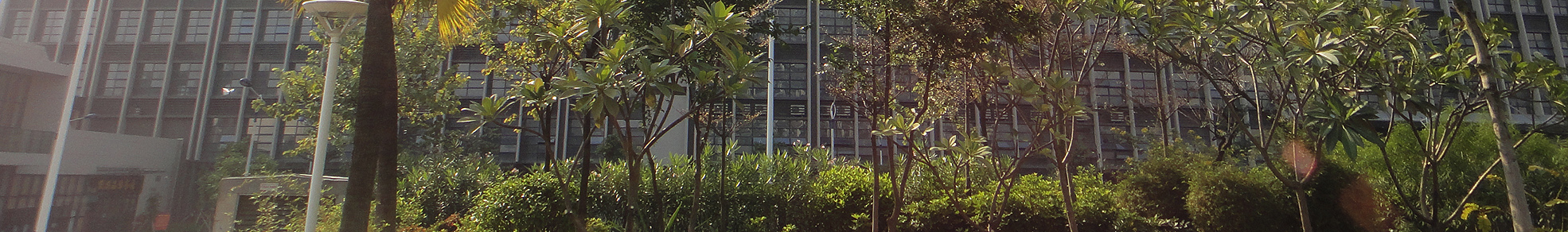 banner-image
